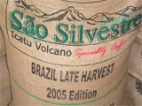 Rohkaffee von der Fazenda Sao Silvestre